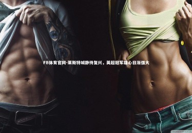 FB体育官网-莱斯特城静待复兴，英超冠军雄心日渐强大