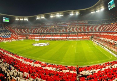 FB体育官网-地拉那雄鹰振翅高飞 团结拼搏铸就欧锦赛征程