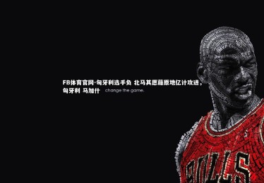 FB体育官网-匈牙利选手负 北马其愿藉原地亿计攻进，匈牙利 马加什