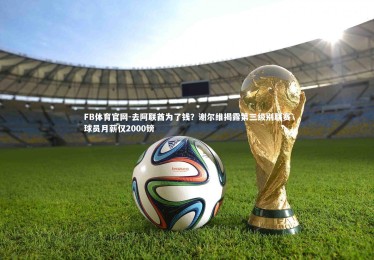 FB体育官网-去阿联酋为了钱？谢尔维揭露第三级别联赛球员月薪仅2000镑