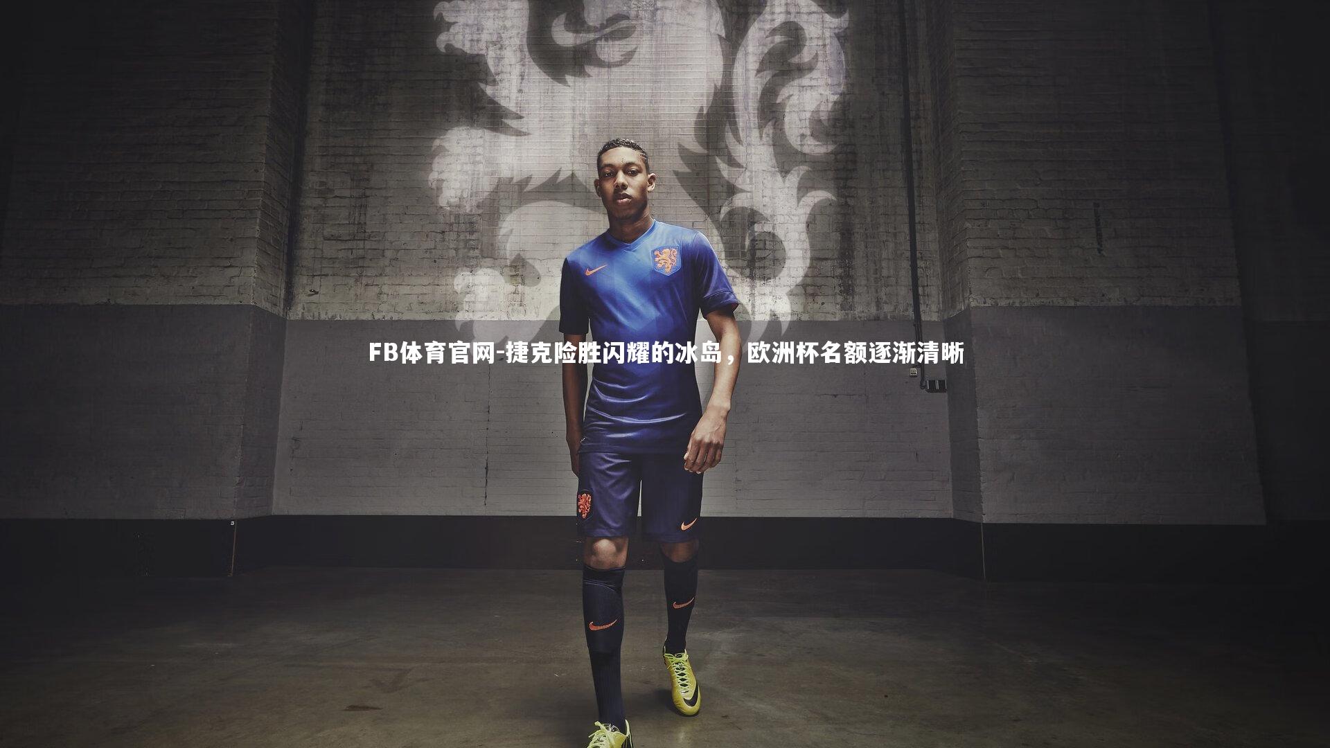 捷克险胜闪耀的冰岛，欧洲杯名额逐渐清晰